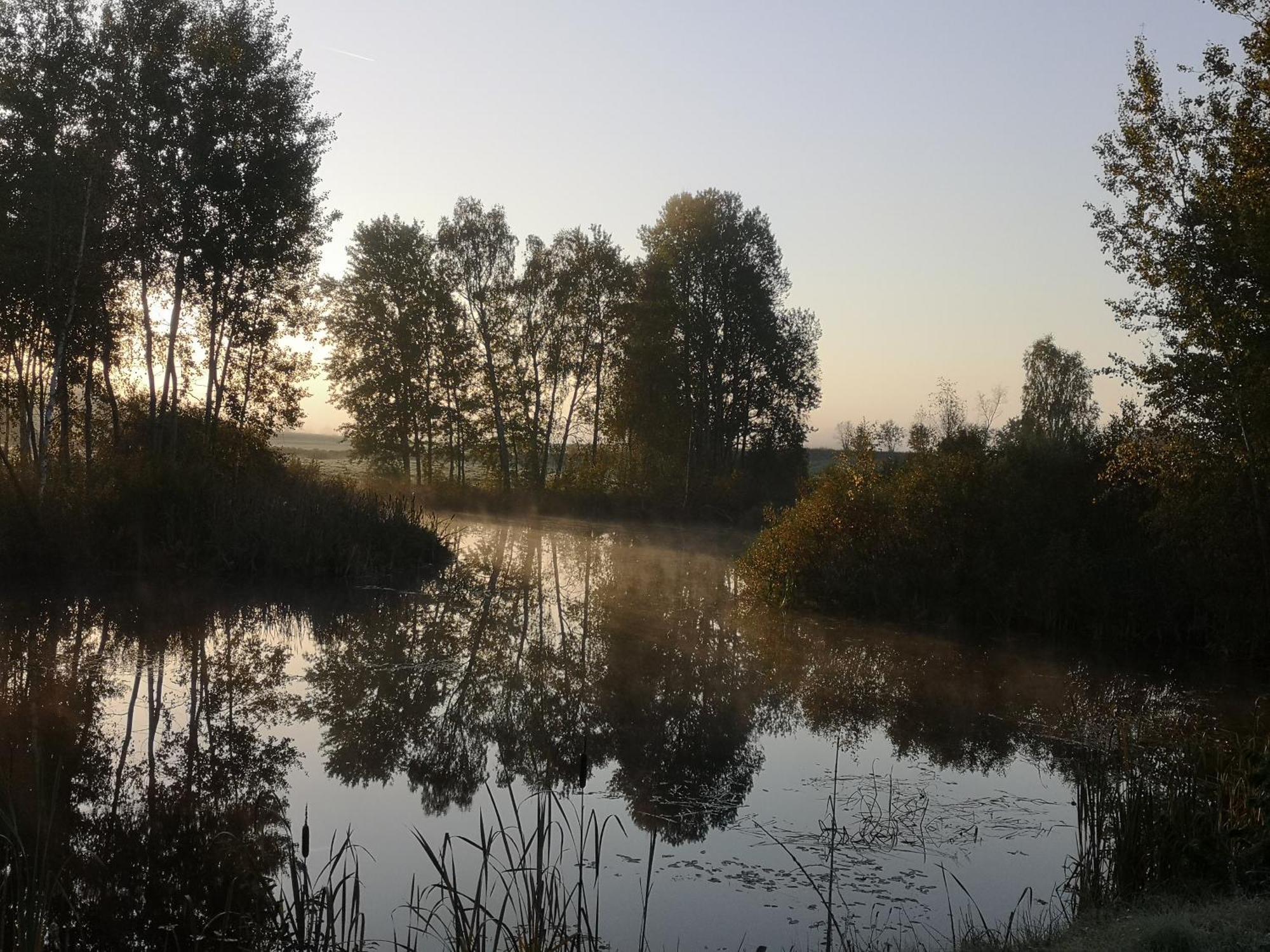 Borowy Zakatek Villa Stara Kiszewa Dış mekan fotoğraf