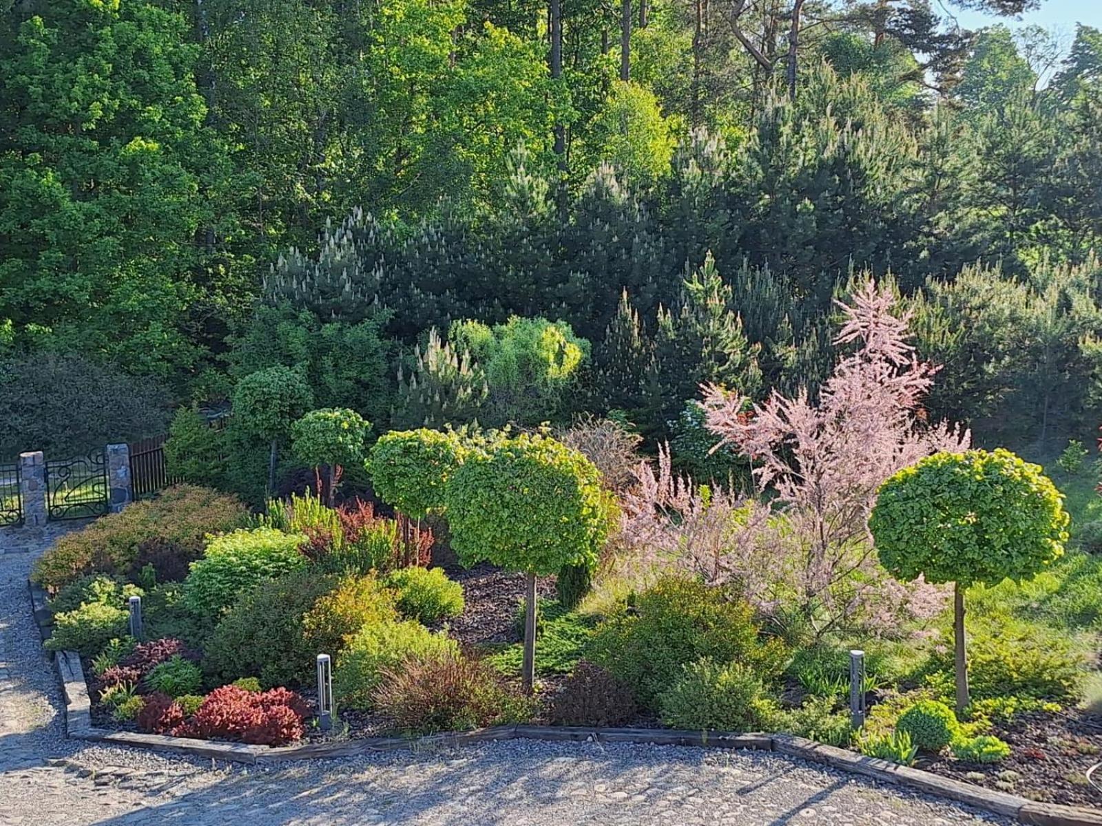 Borowy Zakatek Villa Stara Kiszewa Dış mekan fotoğraf