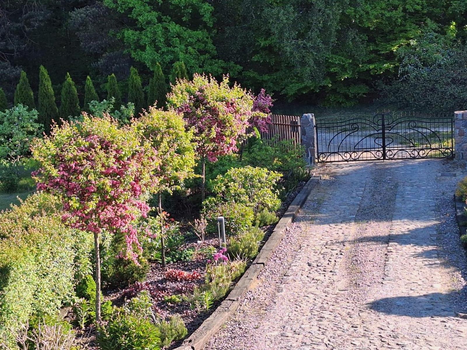 Borowy Zakatek Villa Stara Kiszewa Dış mekan fotoğraf